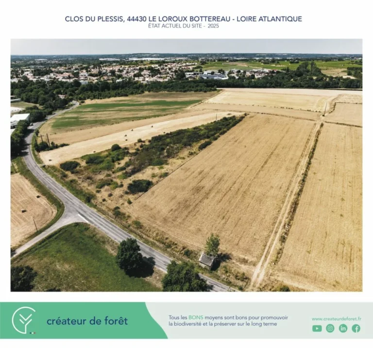 L'îlot de biodiversité en 2025