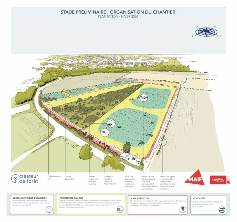 L'îlot de biodiversité en chantier (2026-2027)