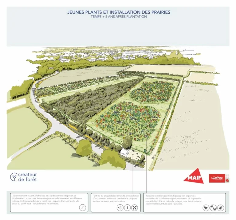 L'îlot de biodiversité en 2031